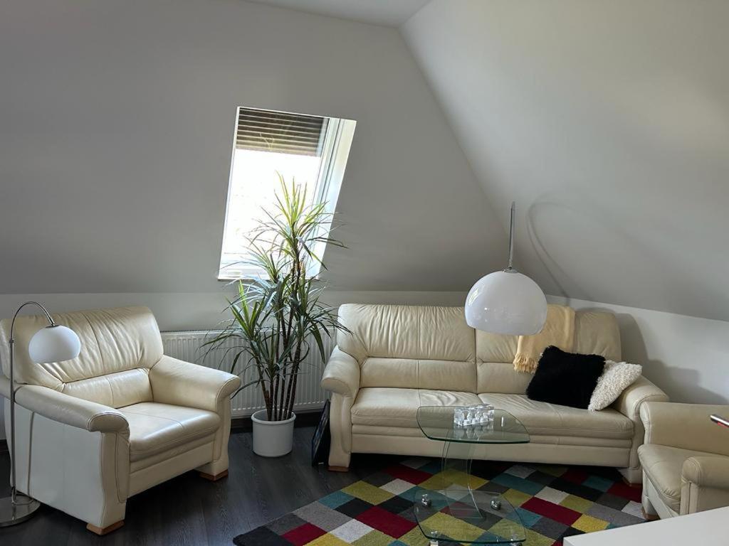 Wolfenbuettler Apartment Wolfenbüttel Dış mekan fotoğraf